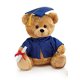 thumbnail image 1 of Osito de peluche de graduación - Azul 10 "H Burton & Burton 0700175759399, 1 of 1