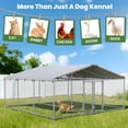 thumbnail image 5 of TIME RAY 15x15 ft  Dog Kennel Outdoor for 2 Dogs,Outside Heavy Duty Dog Enclosure with Double Cage,Waterproof Cover and Security Lock, 5 of 10
