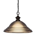 thumbnail image 1 of Z-Lite Shark 100701-SA Pendentif Lumière, 1 of 1