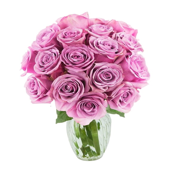 KaBloom : Bouquet of Fresh 18 Purple Roses with Vase, Next-Day Delivery, Gift for all occasions