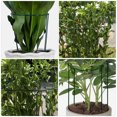 thumbnail image 4 of Shisuyan Support Rod Green Iron 4Pcs 13.8x9.8x4.7in, 4 of 9