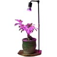 thumbnail image 1 of Full Spectrum Led Plant Grow Lights Table Desk Lamp 30W E27 for Home Indoor Plants Growing, 1 of 6