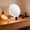 White, variant on Magnifying Handheld Mirror Double Sided, Makeup Vanity Mirror，Hand Mirror with Handle，1X 50X Magnification Hand Mirrors, Travel Folding Hand Held Mirror, 360°Rotation Pedestal