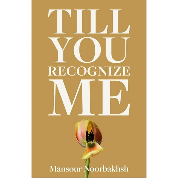 Till You Recognize Me: Poems, (Paperback)