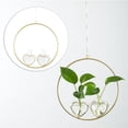 thumbnail image 1 of Planta de Hidroponía Florero Planta de Aire Pecera Flor Terrario Artes , 2 florero Macarena Florero de hidroponía, 1 of 7