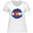 thumbnail image 3 of Inktastic Colorado Flag Sunflower Women's Plus Size T-Shirt, 3 of 5