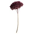 thumbnail image 1 of Vickerman H1HYD580 15-18 in. Purple Orchid Hydrangea Stems, 1 of 1