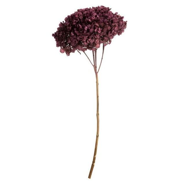 Vickerman H1HYD580 15-18 in. Purple Orchid Hydrangea Stems