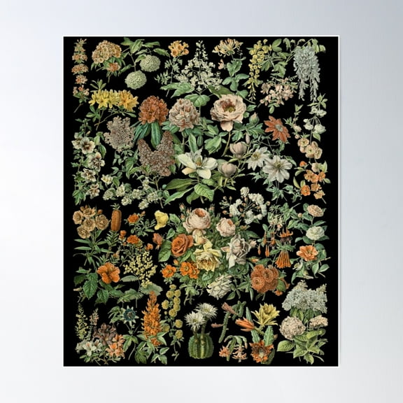 Vintage Inspired Flower Botanical Chart Second Edition Poster Wall Art, Modern Wall Decor For Living Room Bedroom, 8x12 UNFRAMED