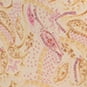 White Sand Paisley Garden / White Sand