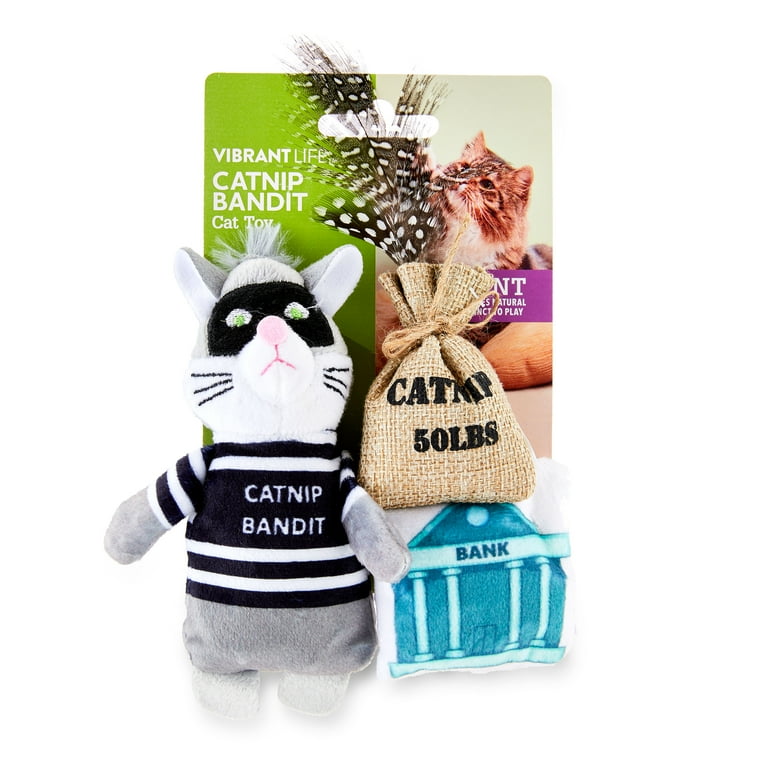 Vibrant Life Catnip Bandit Cat Toy Set with Plush Mouse, Bank, and