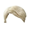 thumbnail image 1 of Peluca Corta Rubia con Flequillo Lateral, Pelo Sintético Realista para un Look a la Moda, Fácil de Peinar para Diario/Cosplay, Material de Alambre Natural, 1 of 8