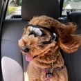 thumbnail image 6 of Gytml Clear Dog Goggles, Uv-Protection Doggie Sunglasses For Medium To Large Dogs, Outdoor Dog Eye Protection, Anti-Fog Anti-Dust Windproof Snowproof, Adjustable Straps Clear-15X6CM, 6 of 7