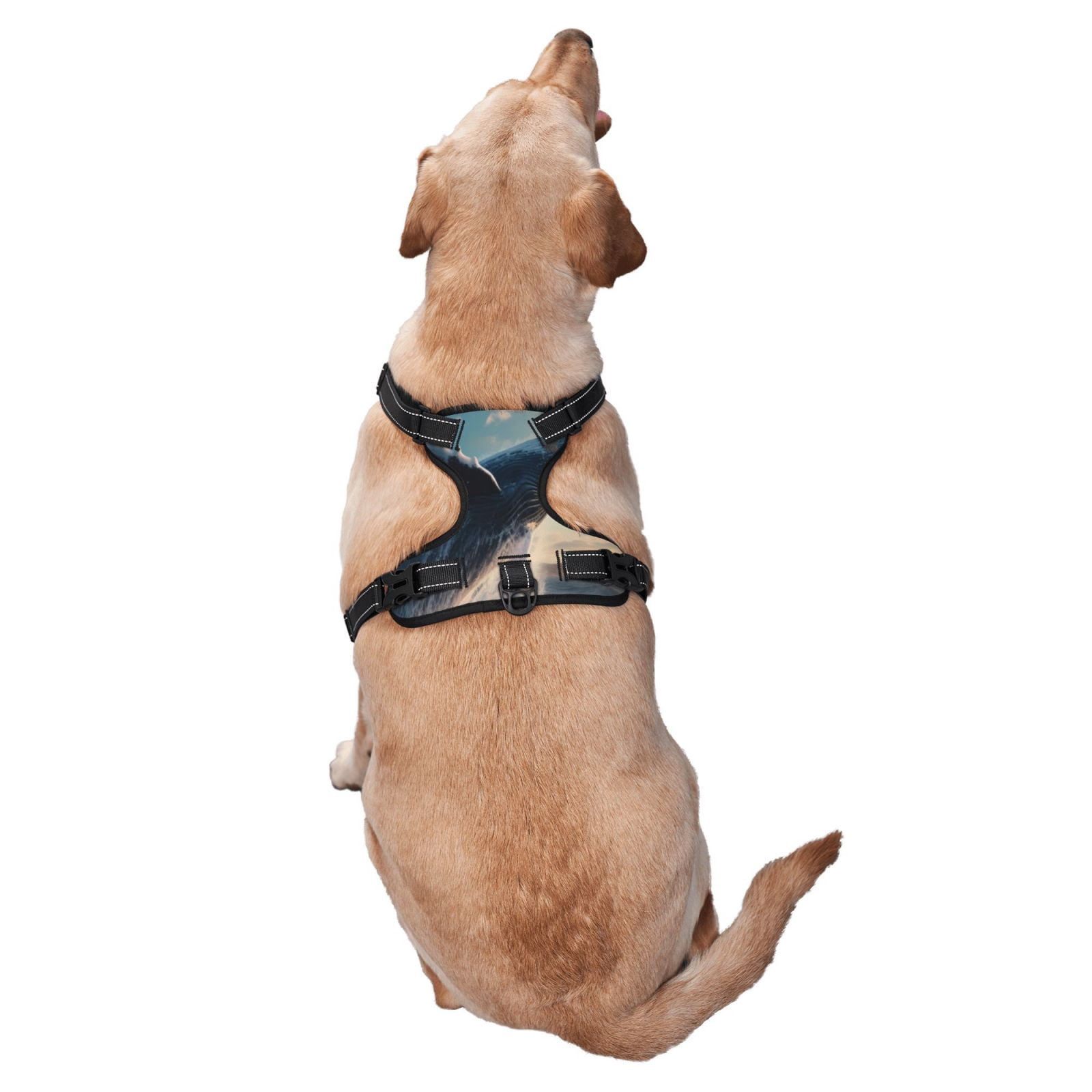 Vsdgher Dancing Whale Pattern Dog Harness,No Pull Pet Harness with Soft Padded Handle,Adjustable Reflective Vest with 2 Buckles,4 Slide Buckles,S-XL Small