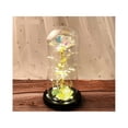 thumbnail image 3 of Rosa Eterna LAB.G Con Luz LED en Botella para Regalos, 3 of 4