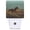 Galloping Horse, variant on Sunlit Daisies Night Light, Plug into Wall with Dusk to Dawn Light Sensors, Warm Nightlights for Bedroom, Bathroom, Hallway, Kitchen, Gifts Ideas for Girls Women