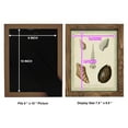 thumbnail image 4 of Bookplate Shells IX - Framed Print w/glass - Walnut, 4 of 7