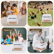 WANALIT 36 Eggs Incubators for Hatching Eggs,Egg Incubator with 4 Incubate Mode for Hatching Duck Goose Quail, Automatic Egg Turning Humidity Monitoring,Poultry Chicken Incubator with Egg Candle