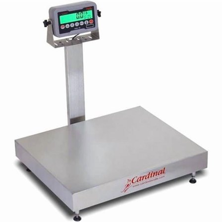 Detecto EB-300-185B 24 x 20 in.  300 lbs Stainless Steel 185B Indicator Electronic Bench Scale