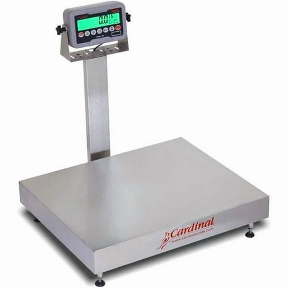 Detecto EB-300-185B 24 x 20 in.  300 lbs Stainless Steel 185B Indicator Electronic Bench Scale