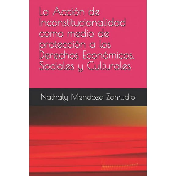 La Acción de Inconstitucionalidad Como Medio de Protección a Los Derechos Económicos, Sociales Y Culturales (Paperback)