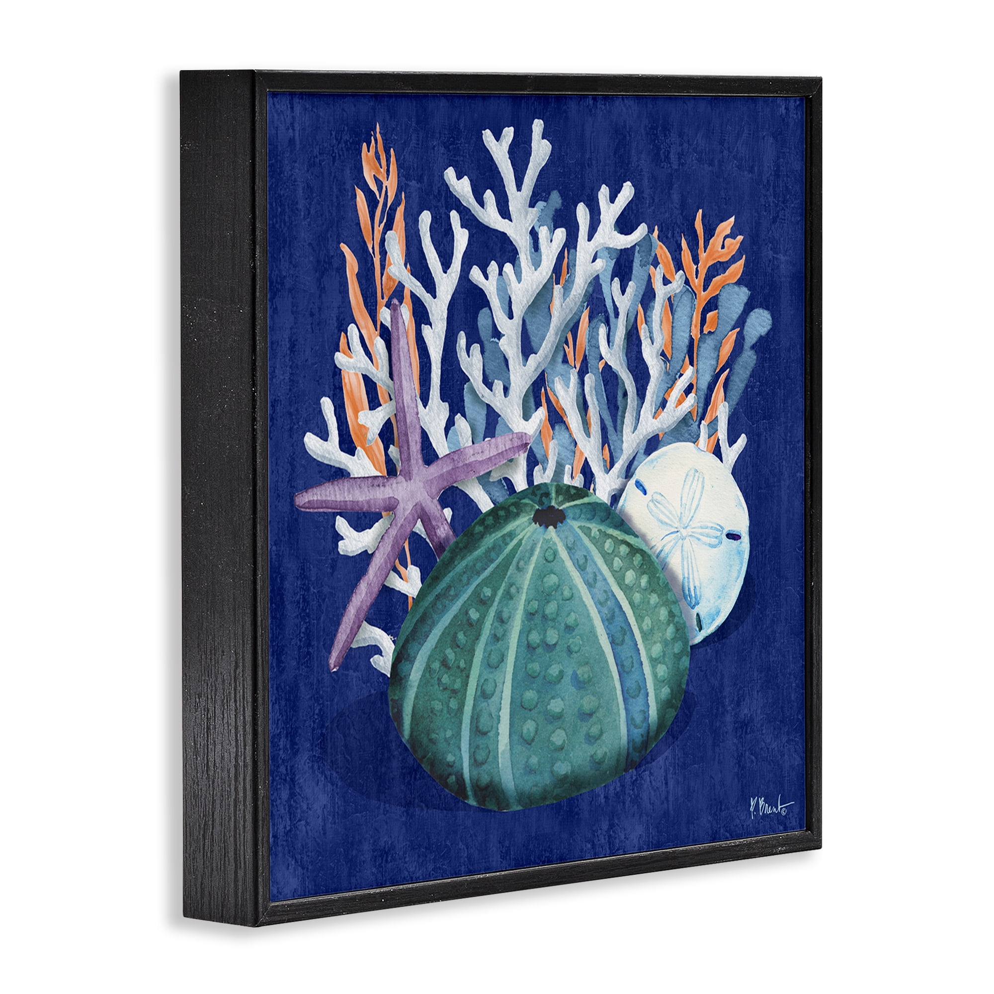 Stupell Industries Monterey Urchin & Coral Coastal Painting Black Framed Art Print Wall Art, 17 x 17