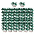 thumbnail image 3 of AMLESO 50PCS Romantic Hexagonal Chocolate Candy Boxes Treats Party Favor Birthday Party Green, 3 of 8