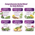 thumbnail image 4 of LymphSupport Herbal Supplement for Lymphatic System, 60 Vegetarian Capsules, Immune & Detox Formula, 4 of 9