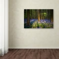 thumbnail image 3 of Trademark Fine Art "Mystical Forest" Canvas Art by Mathieu Rivrin, 3 of 3
