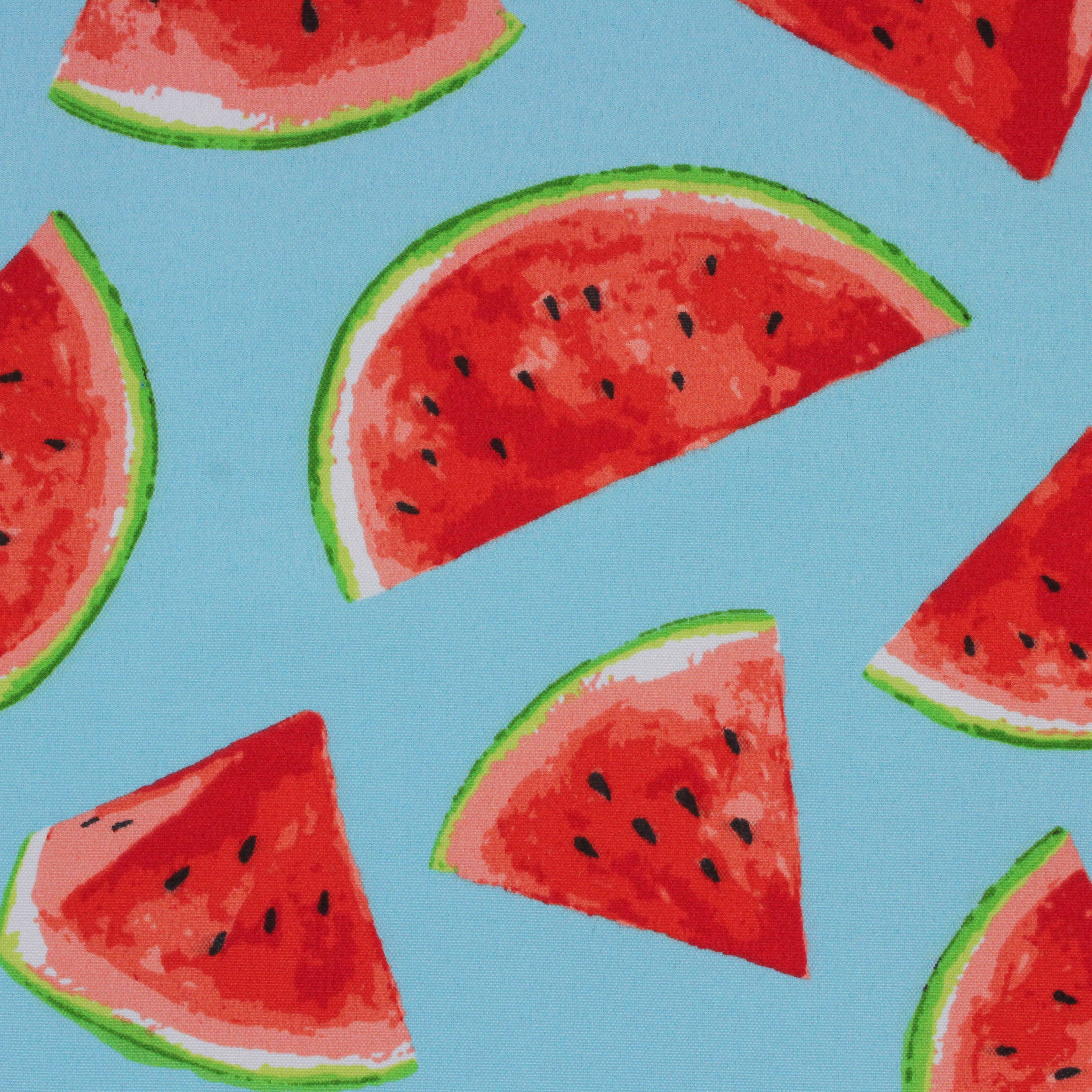 Berkshire Home 100% Polyester 54" Indoor/Outdoor Watermelon Aqua Fabric, by the Yard