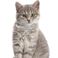 thumbnail image 4 of Collar para mascotas con diamantes de imitación, colgante de diamante de cristal ajustable, collar para mascotas pequeñas para perros y gatos de boda, 2 uds., 4 of 5