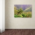 thumbnail image 3 of Trademark Fine Art 'Waipio Valley' Canvas Art by Mike Jones Photo, 3 of 3