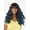 1, variant on Sensationnel Dashly Wig – Unit 4 DW004