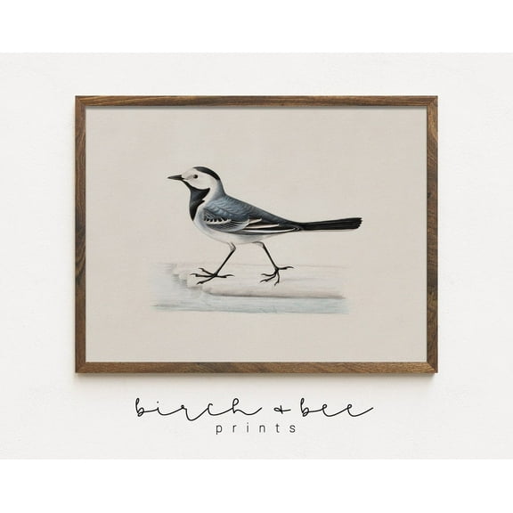Kna Prints - Vintage Bird Print Wall Art #66, UNFRAMED-8x12