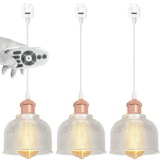 FSLiving Dimmable Juno Track Lighting Pendants, 3.2 Ft, J-Type Track Mounted Remote Control Rose Gold Socket Striped Clear Dome Shape Glass Shade Industrial for Bar 3 Lights Kitchen Ceiling