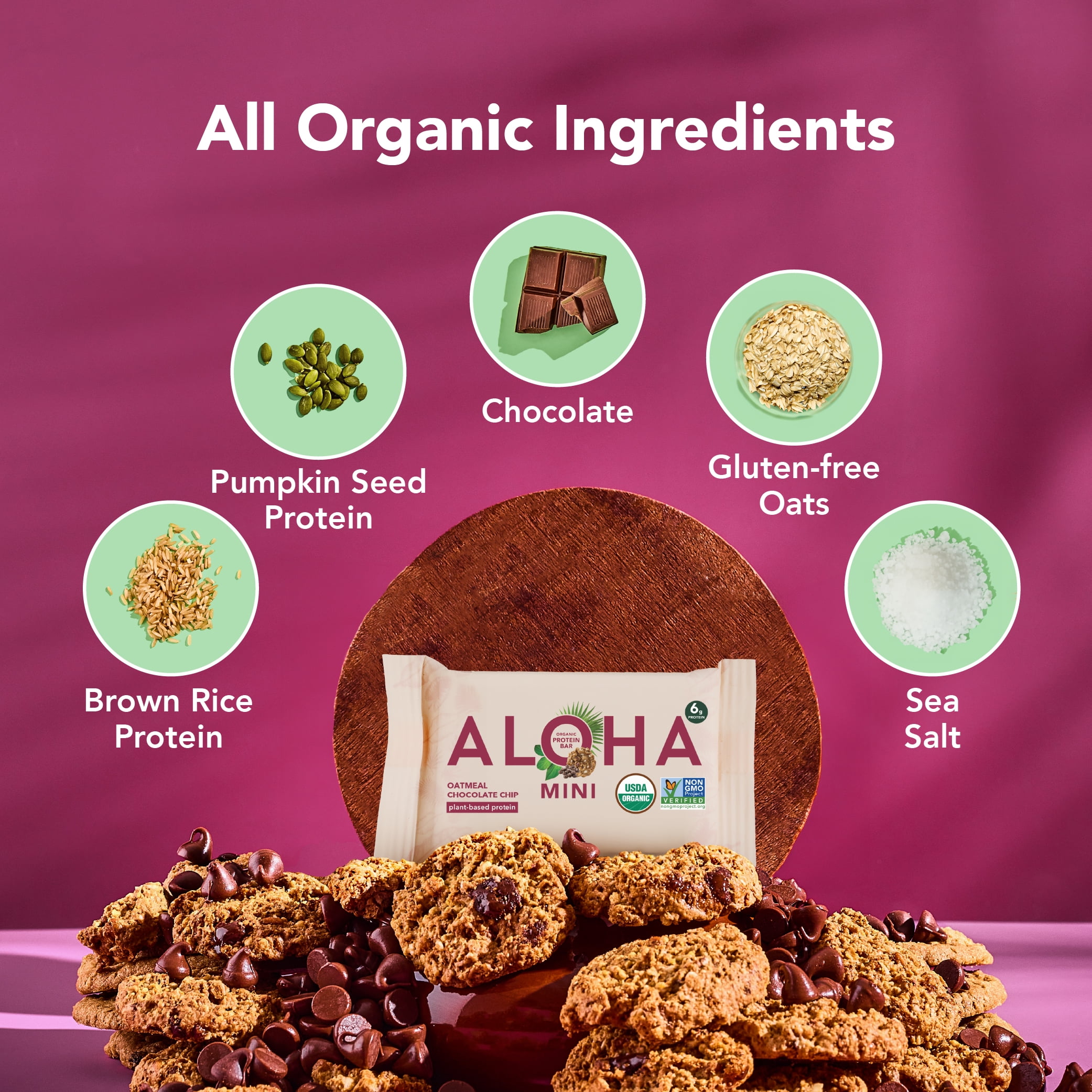 ALOHA, Plant Based Protein, Mini Bars, Oatmeal Chocolate Chip (Pack of 20)