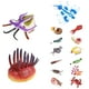 thumbnail image 4 of Figuritas De Criaturas Marinas Prehistóricas Marrella Figuras De Animales Modelos Antiguos Educativos Para Decorar Tartas Proyectos Escolares Juguetes Juguetes Divertidos Y Curiosos, 4 of 4