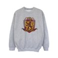 thumbnail image 1 of Harry Potter Girls Gryffindor Chest Badge Sweatshirt, 1 of 3