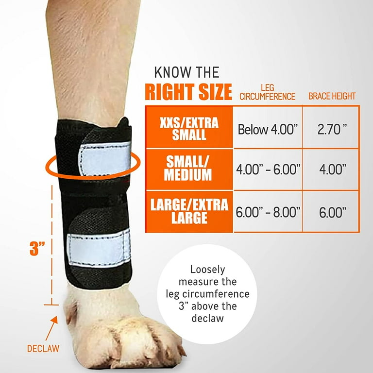 Canine front hot sale leg brace