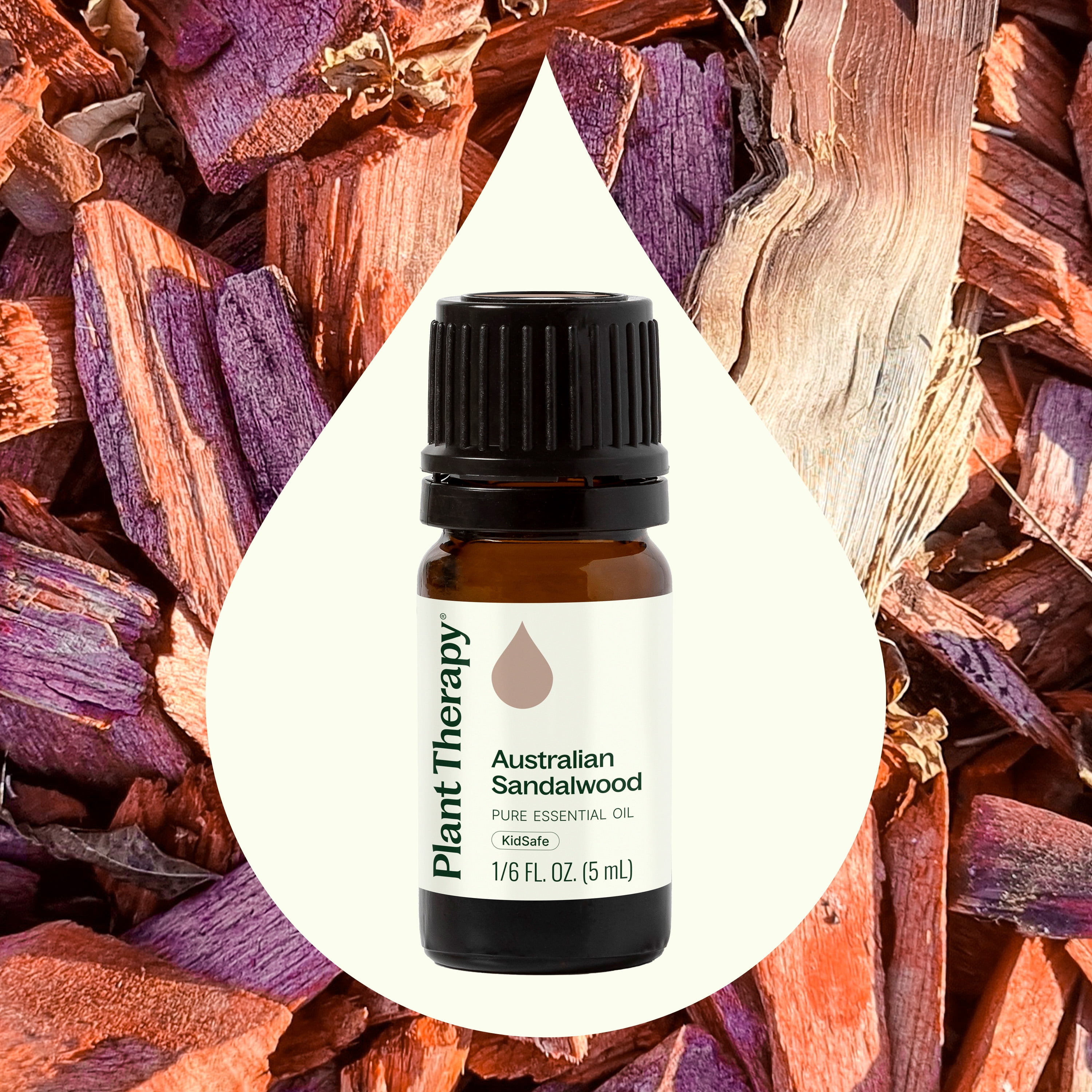Plant Therapy Australian Sandalwood Essential Oil 100% Pure, Undiluted, Natural Aromatherapy for Diffusion and Body Care 5 mL (1/6 oz)