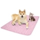thumbnail image 1 of 1 Uds. Almohadilla de hielo para mascotas, almohadilla fresca de verano para perros, almohadilla para Gato, arena transpirable para gatos de seda helada, suministros para mascotas, 1 of 5
