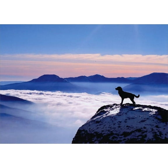 Avanti Press Dog On Mountain Pet Sympathy Card