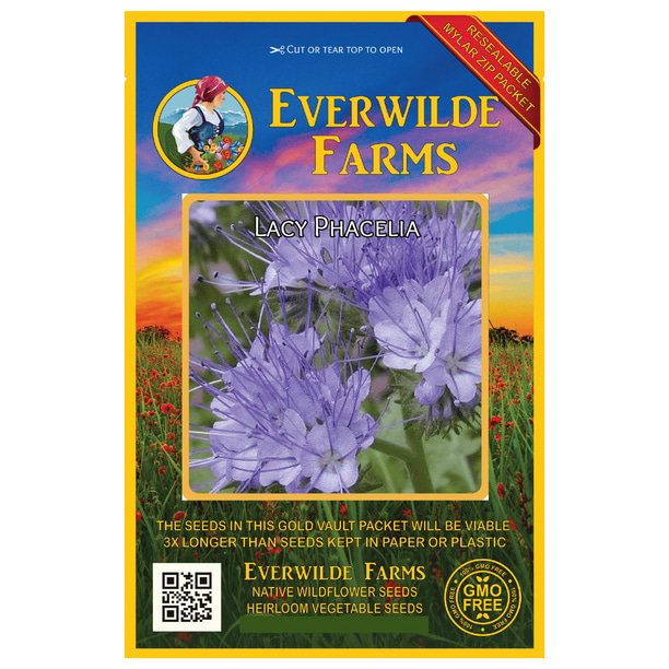 Everwilde Farms 1000 Lacy Phacelia Native Wildflower Seeds Gold