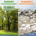 thumbnail image 6 of EcoEarth 12-Month Wall Calendar, Impressionist Masters, 11" x 17" Open, 2026 Calendar, 6 of 8