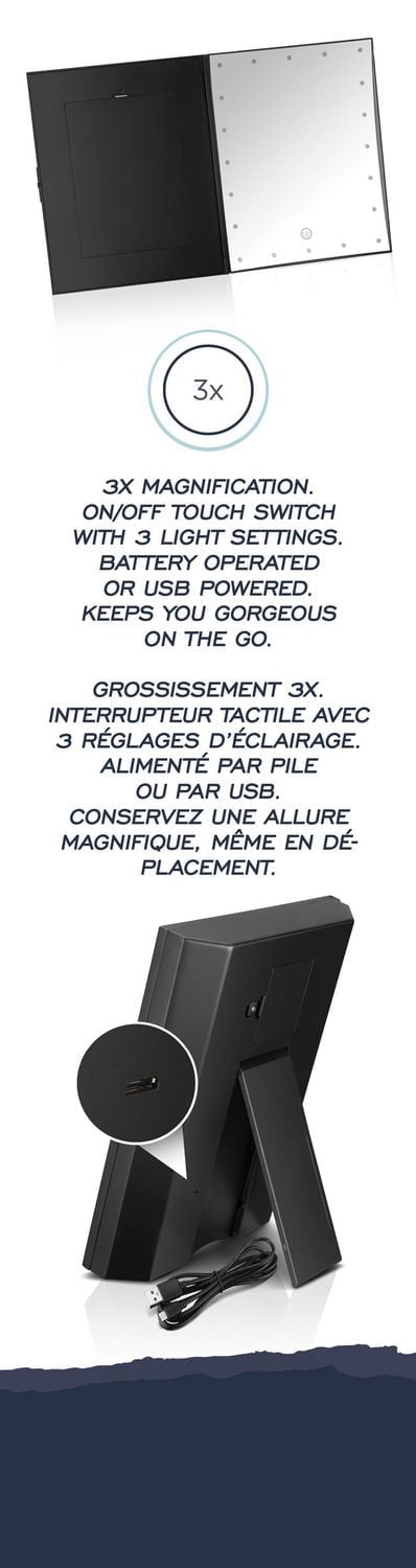 Lighted Picture Mirror (TM) System