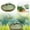 F, variant on Bird Bath For Outside On Ground Ceramic Birds Bath Bowl Handmade Ground Bird Feeders And Birdbath For Outdoors For Outdoors Garden Tabletop Balcony And Easy Light Feeder Suite Feeders for Birds Feeder