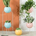 thumbnail image 4 of EIMELI EIMELI Easy Installation Hanging Flowerpot with Telltale Float Plastic Hydroponic Beautiful Wall Planter Patio Decor, 4 of 9