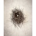 thumbnail image 2 of Van Swearingen, Debra 20x24 Gold Ornate Wood Framed with Double Matting Museum Art Print Titled - Nest I, 2 of 4