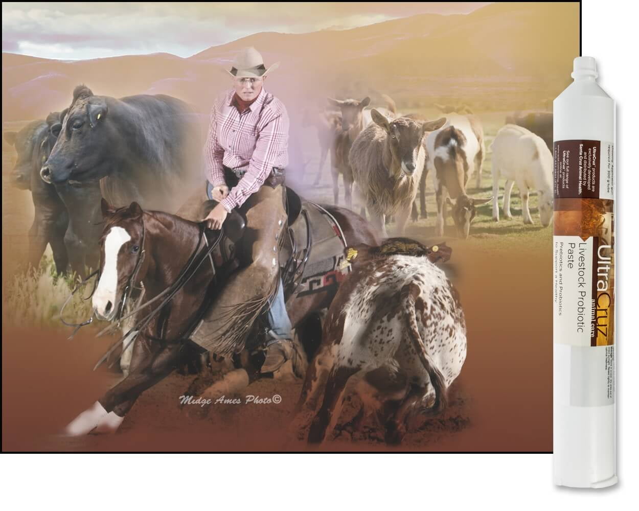 UltraCruz®Livestock Probiotic Paste, 300 ml