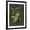 Black Frame, variant on Art.com Custom Midnight Botanical II (R) Art Print by Vision Studio, White Frame Wall Art, 17" x 21"